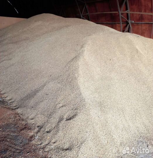 Зерно пшеница ячмень