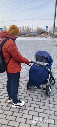 Коляска zippy 3 в 1