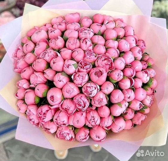 Пионы Букет