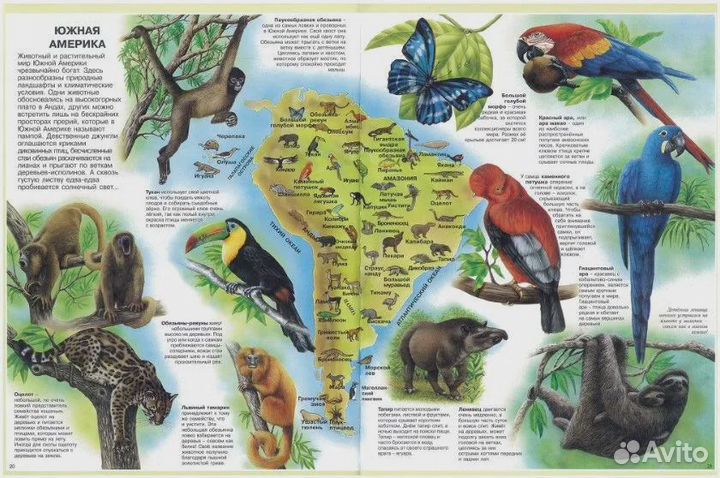 Атлас животных Камбурнак Лора