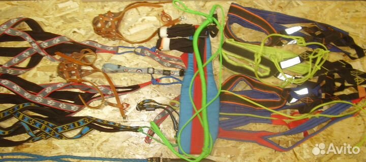 Нарты для ездового спорта