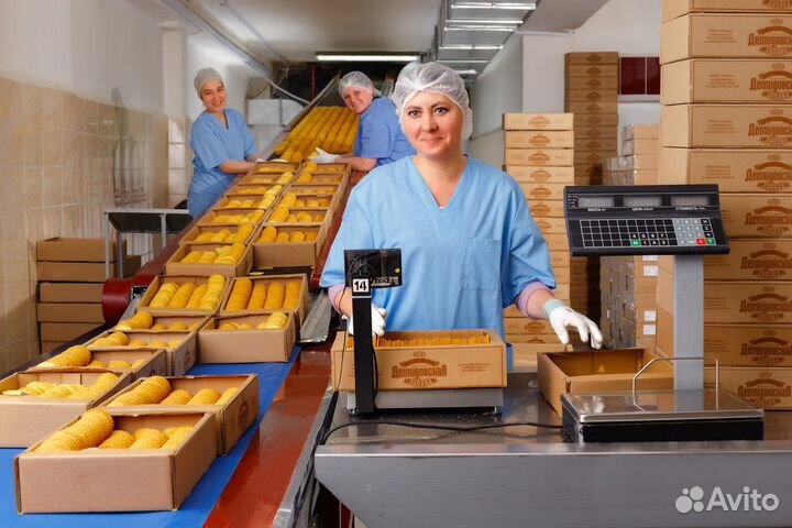 Работа вахтой Комплектовщик 15/25/35