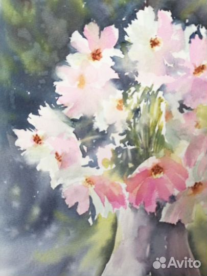 Картина акварелью цветы космеи 30 40