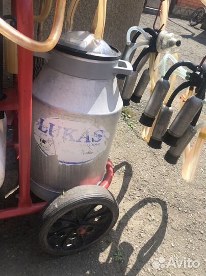 Доильный аппарат для коров