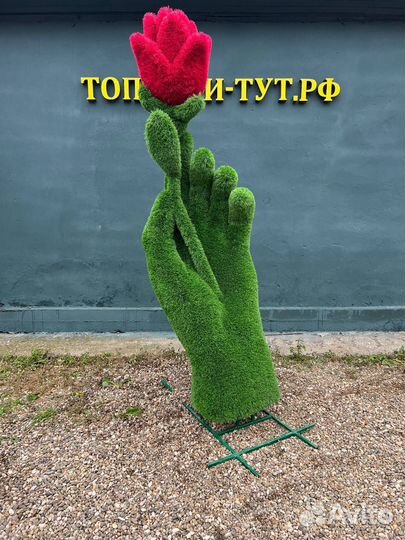 Топиари Топиарные фигуры Садовые фигуры