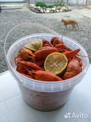Доставка живые раки