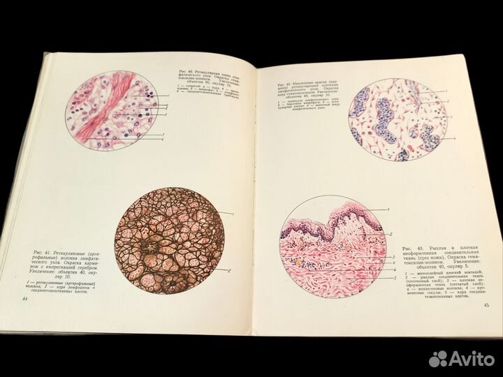 Атлас микроскопического строения тканей, 1961,СССР