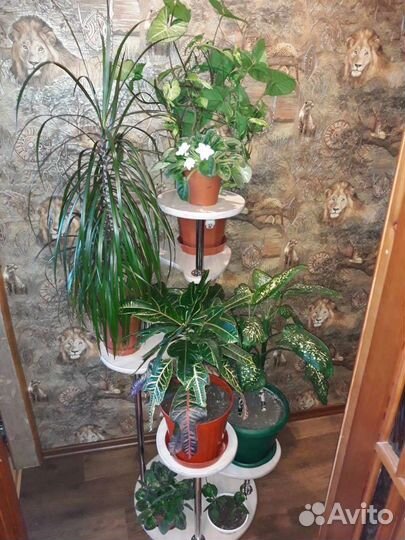 Полка, подставка для цветов