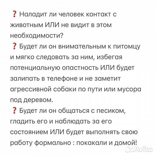 Догситтер / Зооняня / Передержка