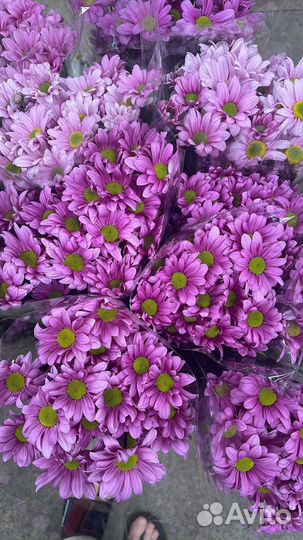 Цветы свежие оптом