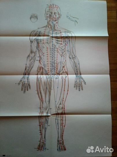 Книги по медицине - неврология, психиатрия, ирт