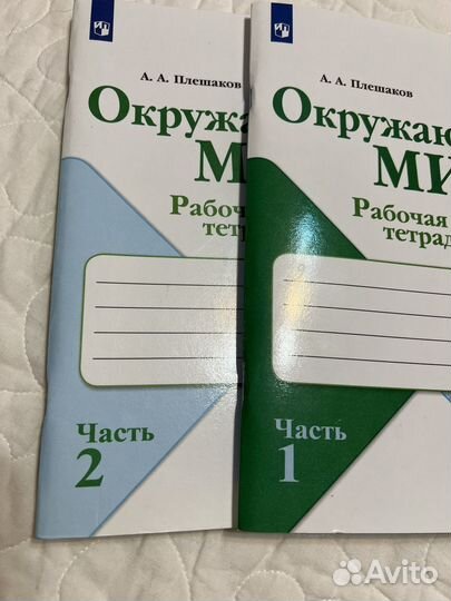 Окружающий мир 2 класс рабочая тетрадь