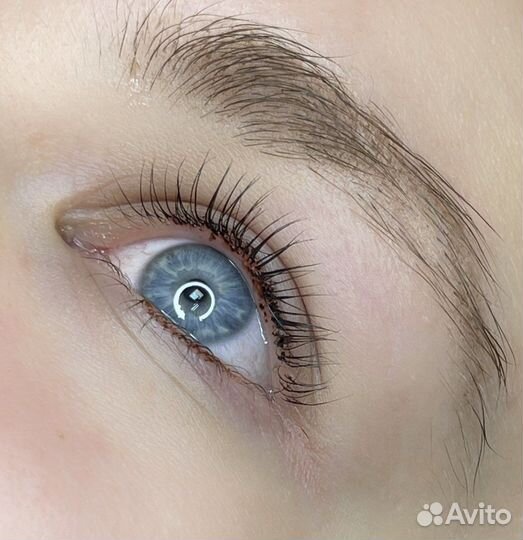 Velvet (ламинирование) ресниц, бровей