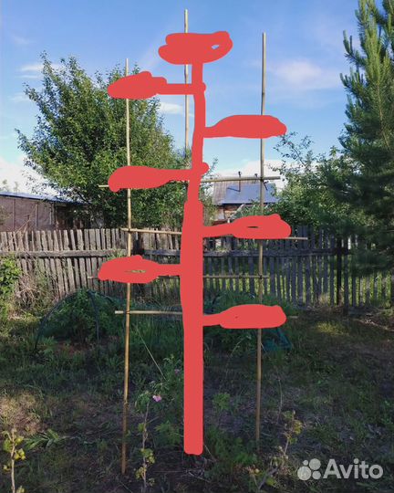 Ниваки из сосны Дан-зукури (стиль шагов)