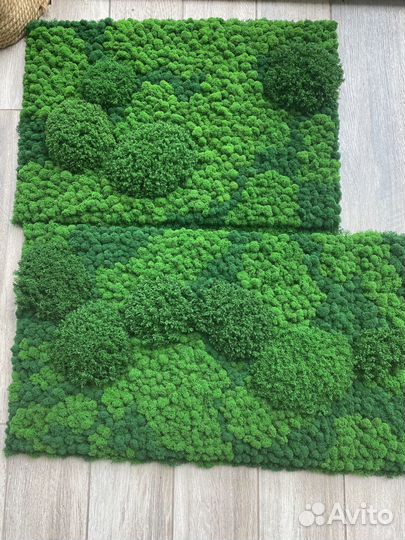 Панели из стабилизированного мха