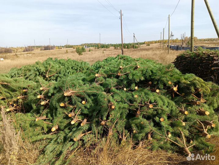 Ёлка оптом новогодняя