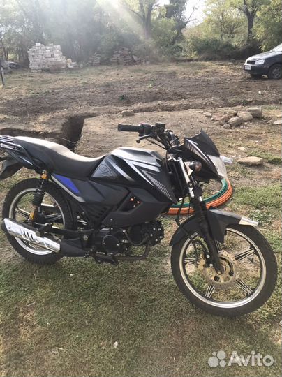 Alpha sport rs12 lux