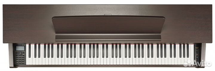 Becker BAP-62R цифровое пианино