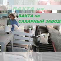 Подсобный рабочий Вахта сахарный завод