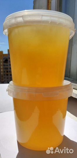 Мёд, перга,мёд в Сотах, прополис