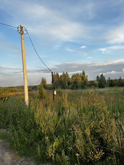 Участок 10 сот. (ИЖС)