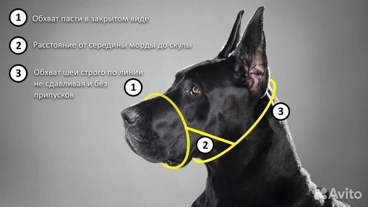 Комплект амуниции Telposiz новый