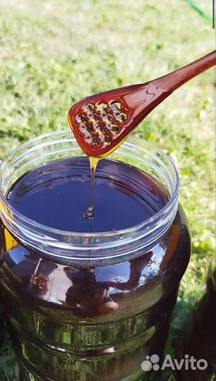 Мед гречишный 2023