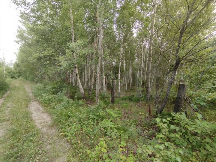 Участок 10 сот. (СНТ, ДНП)