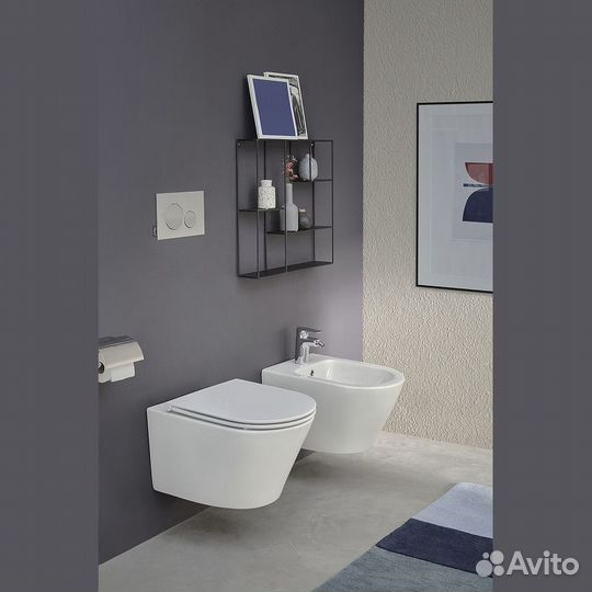 Унитаз подвесной Jacob Delafon Rodin+ безободковый