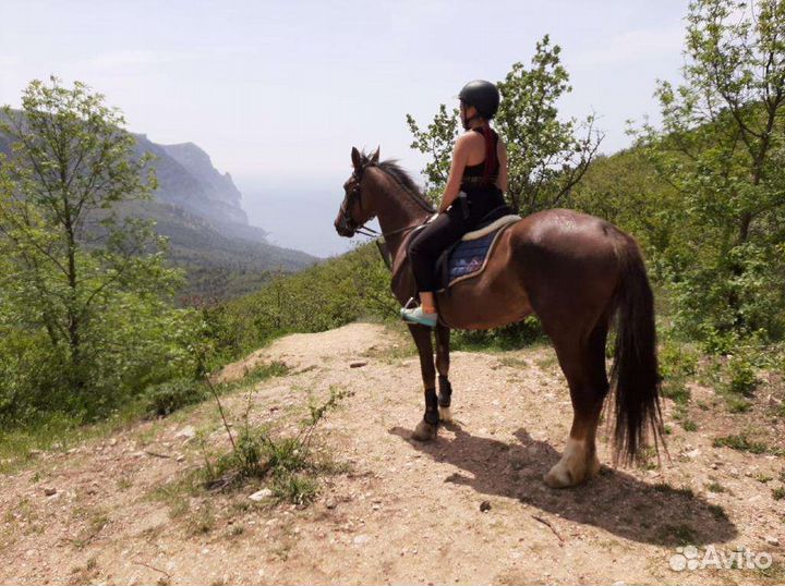Навоз перегной конский в мешках