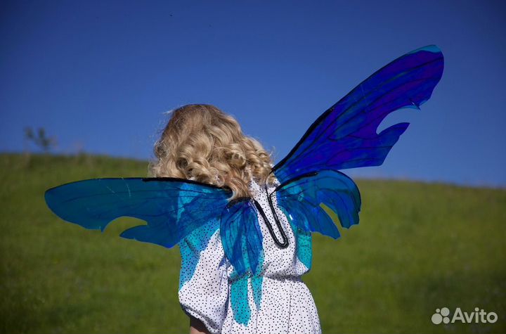 Крылья феи бабочки