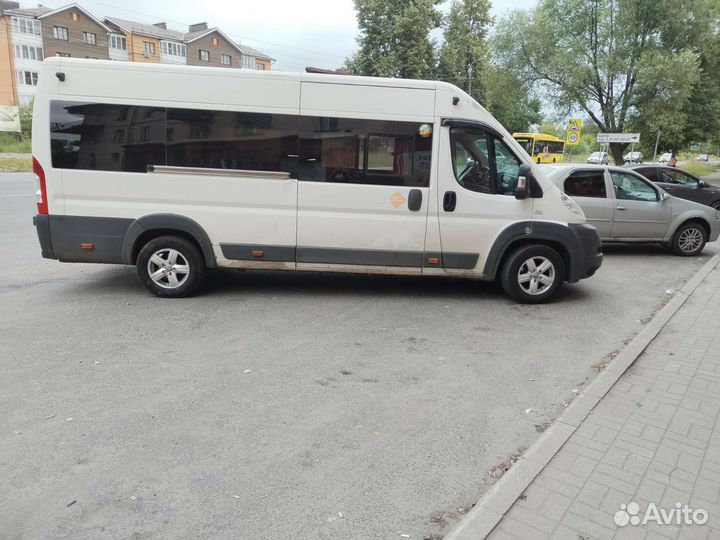 Аренда автобуса с водителем