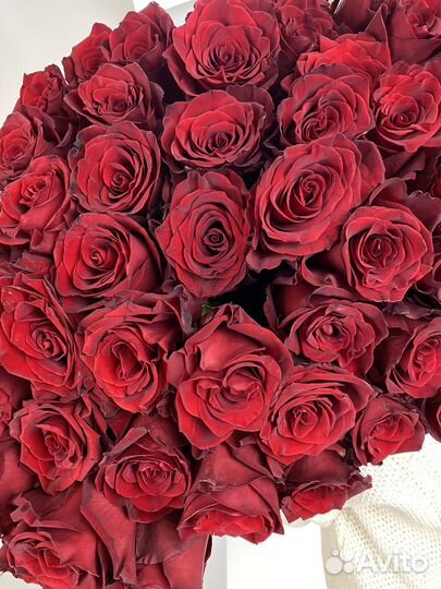 Букет красных роз сорта эксплорер