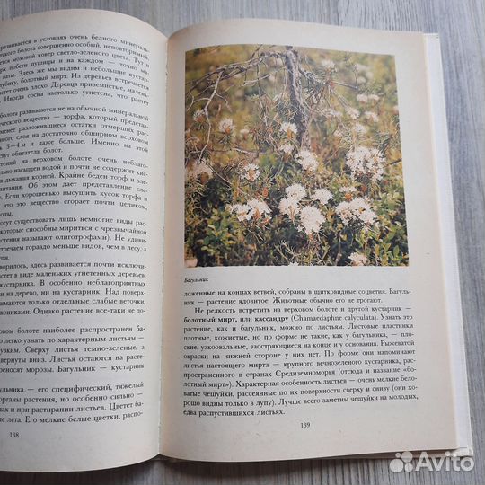 Растительный мир нашей родины. Петров. 1991 г