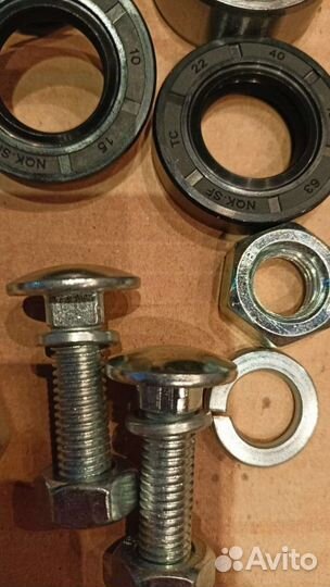 Семяпровод