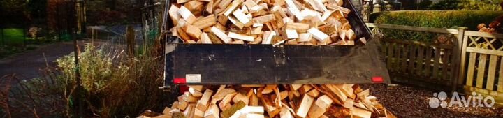 Дрова береза осина