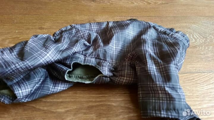 Одежда для собак