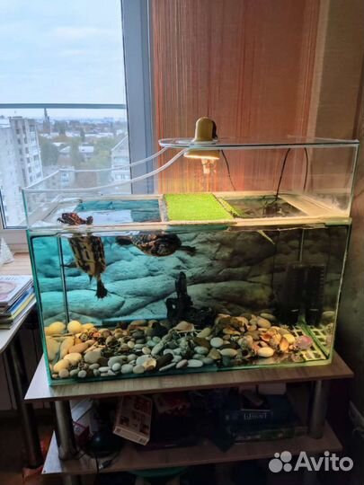 Аквариум 200 литров