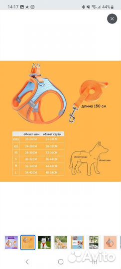Шлейка для собаки