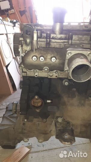 Двигатель GW 4D20