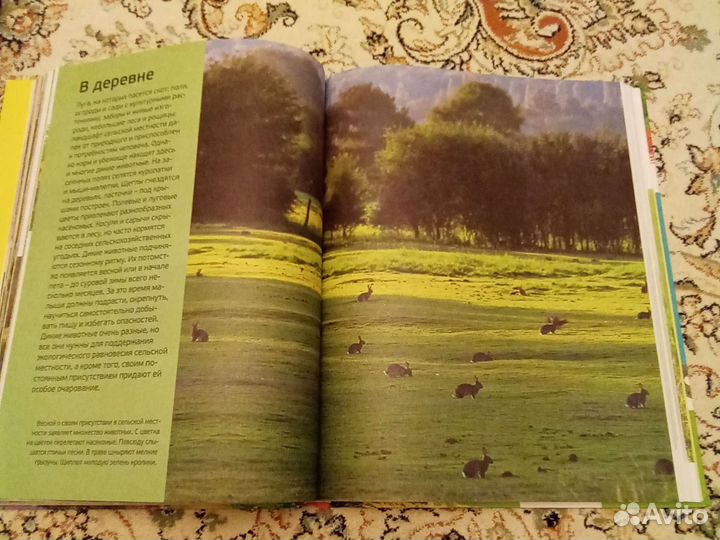 Детская энциклопедия