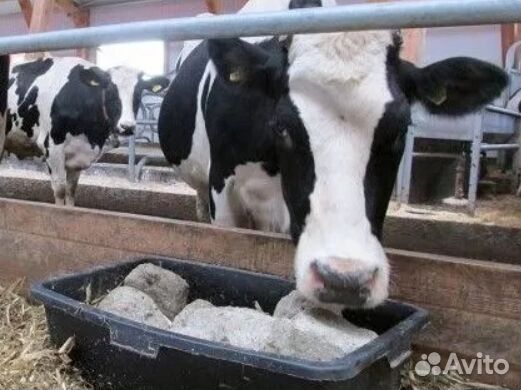 Кормовая соль-лизунец