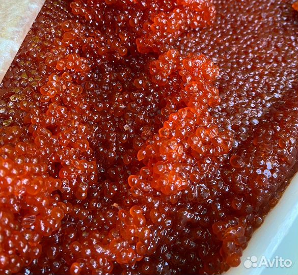 Красная икра Нерки Камчатка