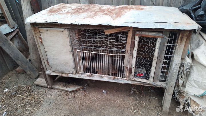 Клетки для кроликов бу