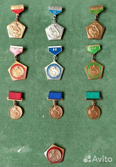 Пер-во СССР. Чемпион. Рекордсмен. Медали. кмс