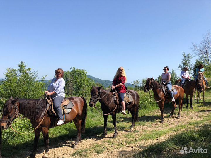 Конные прогулки с трансфером