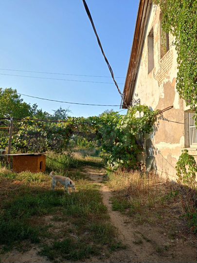 Дом 68,9 м² на участке 9,5 сот.