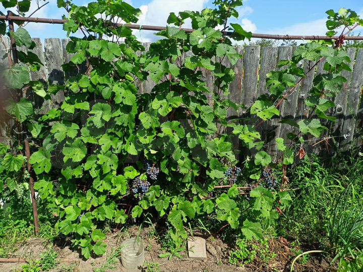 Дача 20 м² на участке 8 сот.