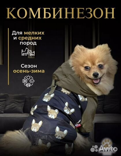 Комбинезон / одежда для собак