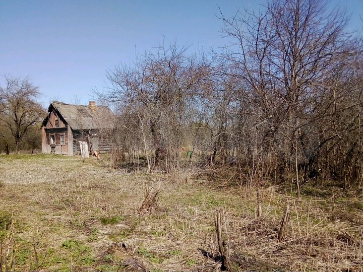 Участок 50 сот. (ИЖС)